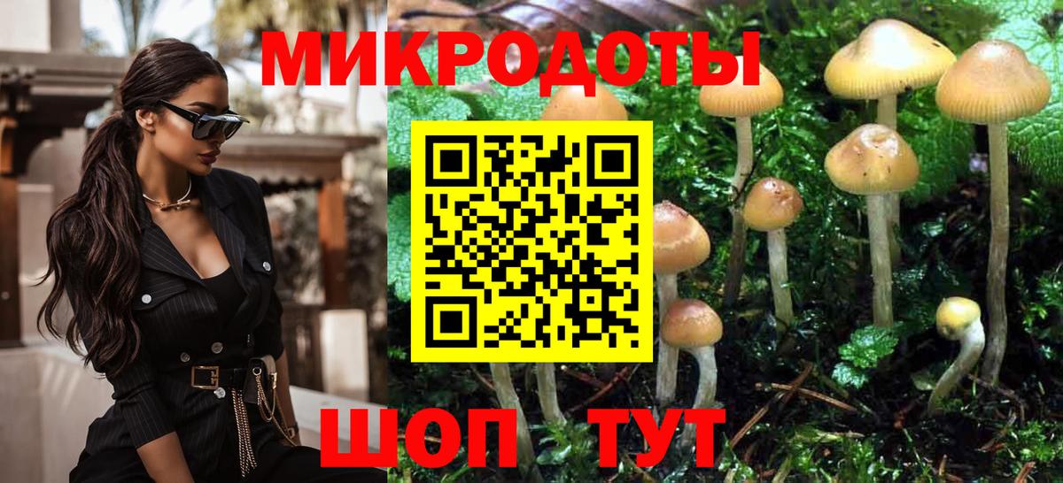 Галлюциногенные грибы Psilocybine cubensis Ухта